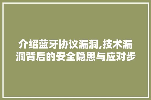 介绍蓝牙协议漏洞,技术漏洞背后的安全隐患与应对步骤