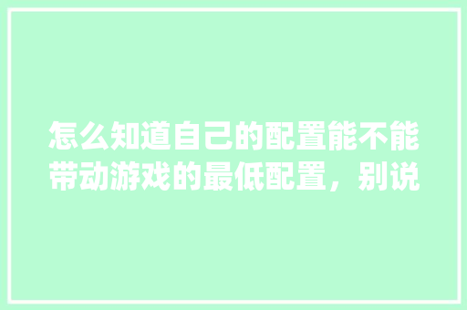 怎么知道自己的配置能不能带动游戏的最低配置，别说看，我看不懂，有没有更简单的_怎么看比对电脑配置信息