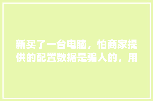 新买了一台电脑，怕商家提供的配置数据是骗人的，用鲁大师能准确检测出电脑硬件配置吗_怎么看电脑配置好用不用散热器 电脑配置