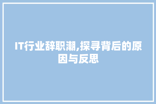 IT行业辞职潮,探寻背后的原因与反思 编程语言
