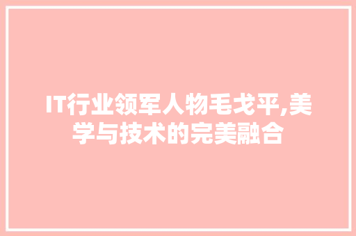 IT行业领军人物毛戈平,美学与技术的完美融合 电脑基础