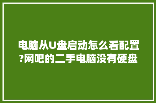 电脑从U盘启动怎么看配置?网吧的二手电脑没有硬盘的前提下_电脑配置怎么看2021 电脑故障维修