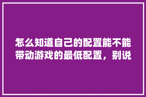 怎么知道自己的配置能不能带动游戏的最低配置，别说看，我看不懂，有没有更简单的_查电脑配置怎么看型号 操作系统