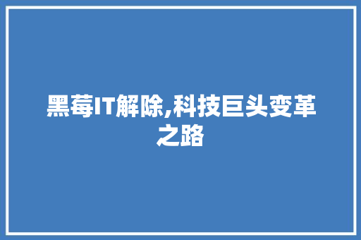 黑莓IT解除,科技巨头变革之路 电脑故障维修 黑莓IT解除,科技巨头变革之路 电脑故障维修