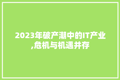 2023年破产潮中的IT产业,危机与机遇并存 网络技术
