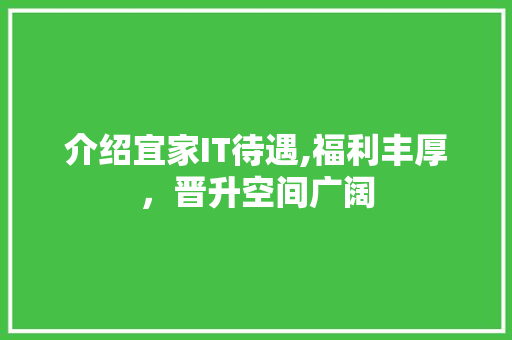介绍宜家IT待遇,福利丰厚，晋升空间广阔 操作系统