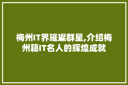 梅州IT界璀璨群星,介绍梅州籍IT名人的辉煌成就 电脑配置