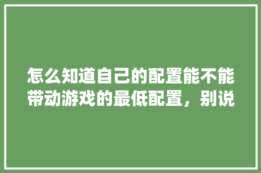 怎么知道自己的配置能不能带动游戏的最低配置，别说看，我看不懂，有没有更简单的_电脑不能联网怎么看配置信息 编程语言