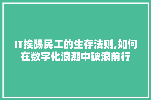 IT挨踢民工的生存法则,如何在数字化浪潮中破浪前行