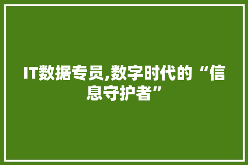 IT数据专员,数字时代的“信息守护者” 编程语言