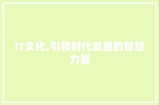 IT文化,引领时代发展的智慧力量 操作系统