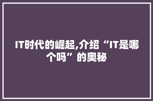 IT时代的崛起,介绍“IT是哪个吗”的奥秘 电脑故障维修