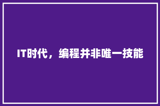 IT时代,编程并非唯一技能 编程语言 IT时代,编程并非唯一技能 编程语言