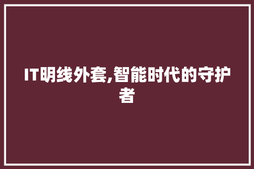 IT明线外套,智能时代的守护者 电脑基础 IT明线外套,智能时代的守护者 电脑基础