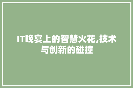 IT晚宴上的智慧火花,技术与创新的碰撞 编程语言