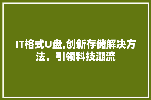 IT格式U盘,创新存储解决方法，引领科技潮流