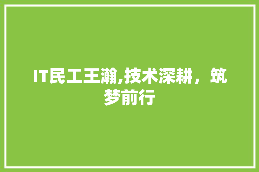 IT民工王瀚,技术深耕，筑梦前行 电脑故障维修