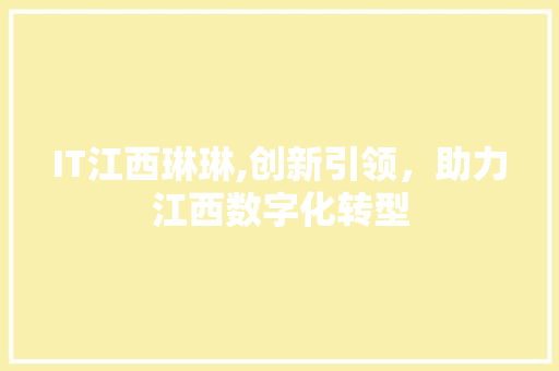 IT江西琳琳,创新引领,助力江西数字化转型 电脑基础 IT江西琳琳,创新引领,助力江西数字化转型 电脑基础
