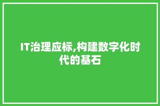 IT治理应标,构建数字化时代的基石 操作系统