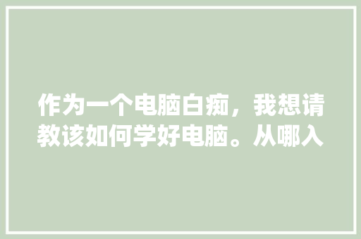 作为一个电脑白痴,我想请教该如何学好电脑。从哪入手呢_电脑小白基础知识 网络技术 作为一个电脑白痴,我想请教该如何学好电脑。从哪入手呢_电脑小白基础知识 网络技术