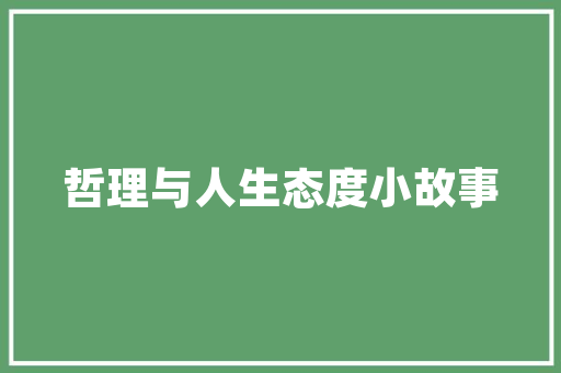 电脑如何去查看pdf文件「电脑基础知识pdf下载」
