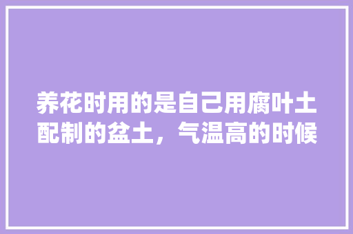 养花时用的是自己用腐叶土配制的盆土，气温高的时候房内有好多小黑飞虫，有什么好办法能祛除虫子_小黑盒查电脑配置