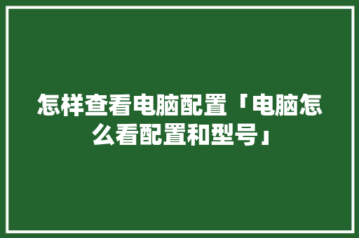 怎样查看电脑配置「电脑怎么看配置和型号」 怎样查看电脑配置「电脑怎么看配置和型号」 操作系统