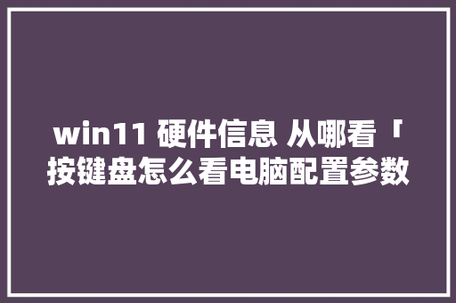 win11 硬件信息 从哪看「按键盘怎么看电脑配置参数」 win11 硬件信息 从哪看「按键盘怎么看电脑配置参数」 电脑基础