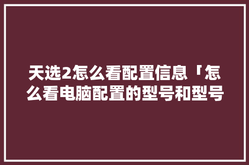 天选2怎么看配置信息「怎么看电脑配置的型号和型号」 操作系统 天选2怎么看配置信息「怎么看电脑配置的型号和型号」 天选2怎么看配置信息「怎么看电脑配置的型号和型号」 操作系统