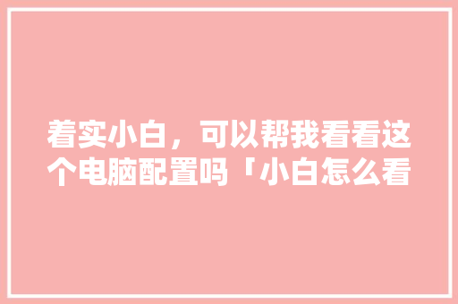 着实小白，可以帮我看看这个电脑配置吗「小白怎么看电脑配置是高是低」 着实小白，可以帮我看看这个电脑配置吗「小白怎么看电脑配置是高是低」 编程语言