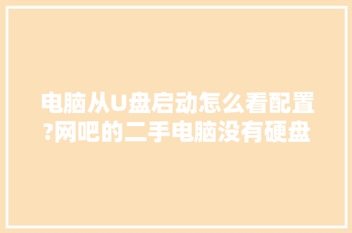 电脑从U盘启动怎么看配置?网吧的二手电脑没有硬盘的前提下「怎么看电脑配置名称」 电脑从U盘启动怎么看配置?网吧的二手电脑没有硬盘的前提下「怎么看电脑配置名称」 电脑基础