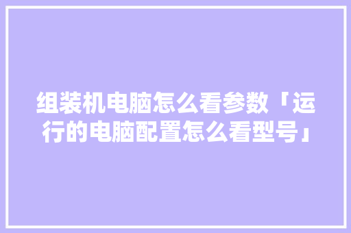 组装机电脑怎么看参数「运行的电脑配置怎么看型号」 组装机电脑怎么看参数「运行的电脑配置怎么看型号」 操作系统