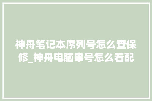 神舟笔记本序列号怎么查保修_神舟电脑串号怎么看配置参数 网络技术 神舟笔记本序列号怎么查保修_神舟电脑串号怎么看配置参数 网络技术