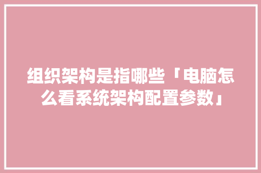 组织架构是指哪些「电脑怎么看系统架构配置参数」