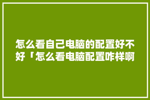 怎么看自己电脑的配置好不好「怎么看电脑配置咋样啊」 怎么看自己电脑的配置好不好「怎么看电脑配置咋样啊」 电脑基础