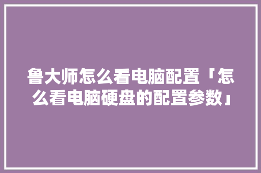 鲁大师怎么看电脑配置「怎么看电脑硬盘的配置参数」 鲁大师怎么看电脑配置「怎么看电脑硬盘的配置参数」 操作系统