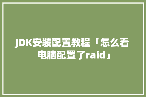 JDK安装配置教程「怎么看电脑配置了raid」