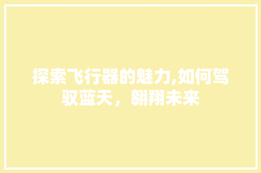 探索飞行器的魅力,如何驾驭蓝天,翱翔未来 探索飞行器的魅力,如何驾驭蓝天,翱翔未来