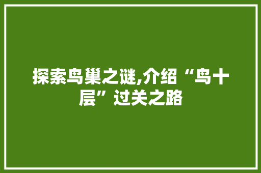 探索鸟巢之谜,介绍“鸟十层”过关之路