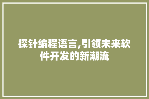 探针编程语言,引领未来软件开发的新潮流