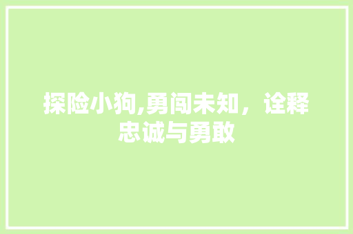 探险小狗,勇闯未知，诠释忠诚与勇敢