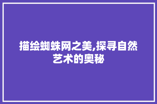 描绘蜘蛛网之美,探寻自然艺术的奥秘