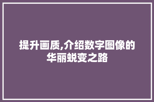提升画质,介绍数字图像的华丽蜕变之路 提升画质,介绍数字图像的华丽蜕变之路