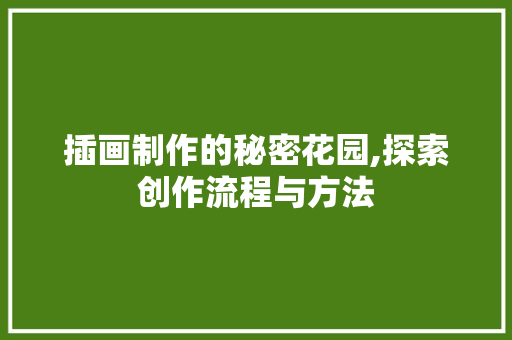 插画制作的秘密花园,探索创作流程与方法
