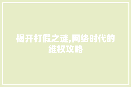揭开打假之谜,网络时代的维权攻略