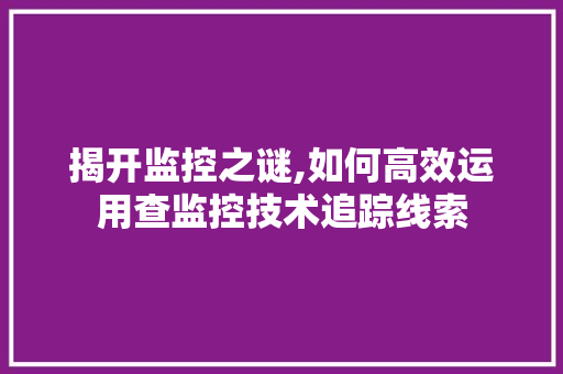 揭开监控之谜,如何高效运用查监控技术追踪线索 揭开监控之谜,如何高效运用查监控技术追踪线索