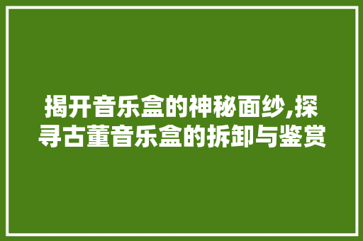 揭开音乐盒的神秘面纱,探寻古董音乐盒的拆卸与鉴赏 揭开音乐盒的神秘面纱,探寻古董音乐盒的拆卸与鉴赏