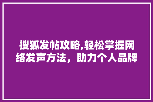 搜狐发帖攻略,轻松掌握网络发声方法，助力个人品牌建设