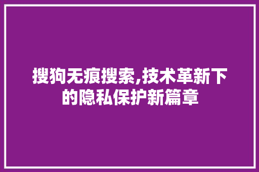 搜狗无痕搜索,技术革新下的隐私保护新篇章