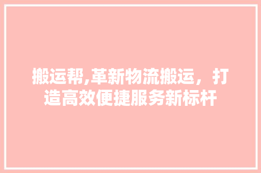 搬运帮,革新物流搬运，打造高效便捷服务新标杆